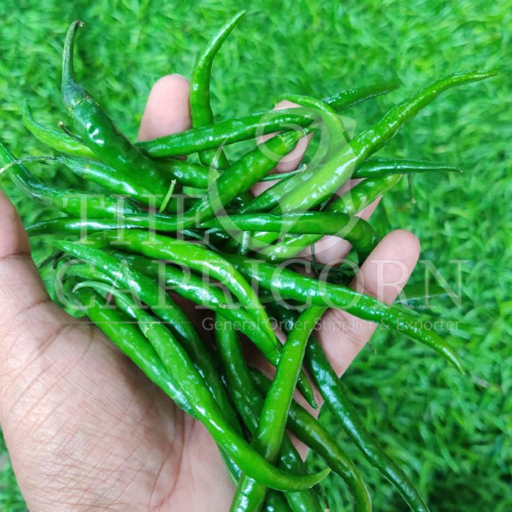 Fresh Green Chilli